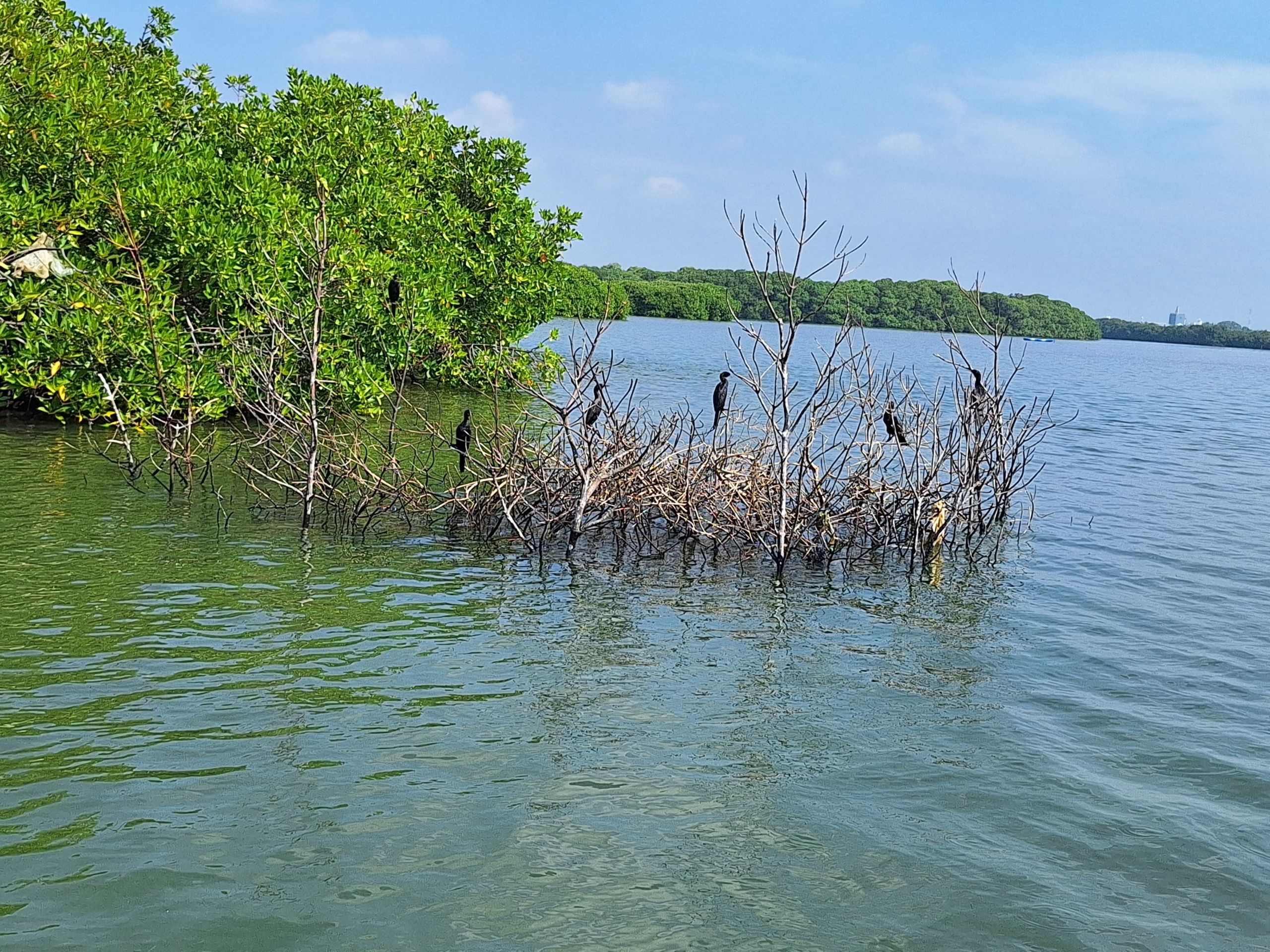 Negombo Boat Ride – Negombo Lagoon & Sea Adventures